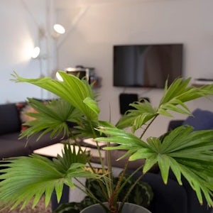 Kontorhotellet Halfway 2 Mars